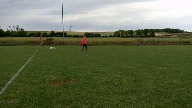 AWI Qualifier Austria'17 Lilia & Poppy R2.mp4