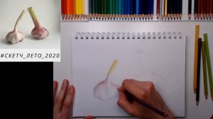 5. Рисуем вместе композицию с ЧЕСНОКОМ. Скетч-лето-2020