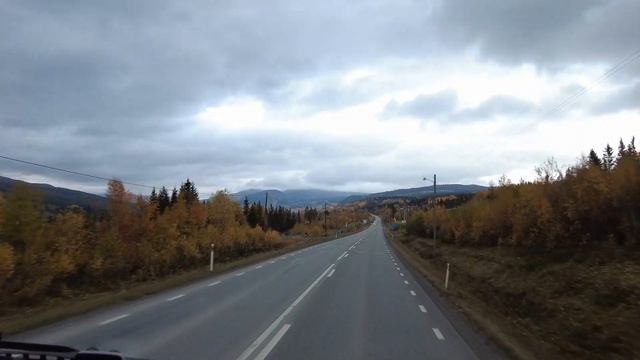 Видеоблог скандинавского дальнобоя#46: осенняя дорога.