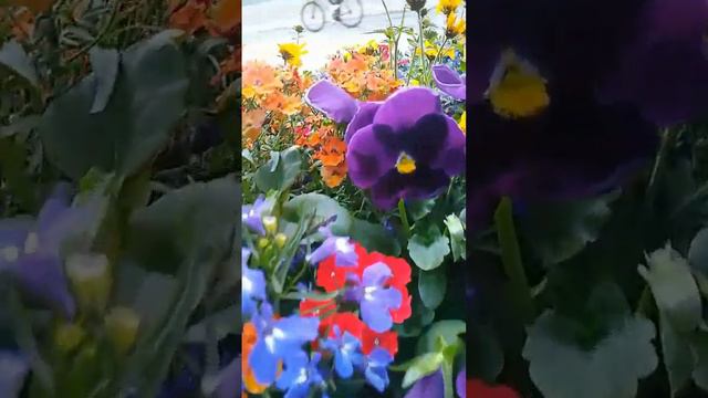 Яскравий настрiй!!! смотреть онлайн