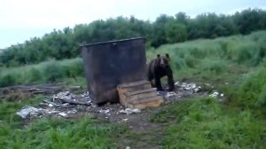 Камчатка, п.Хайлюля