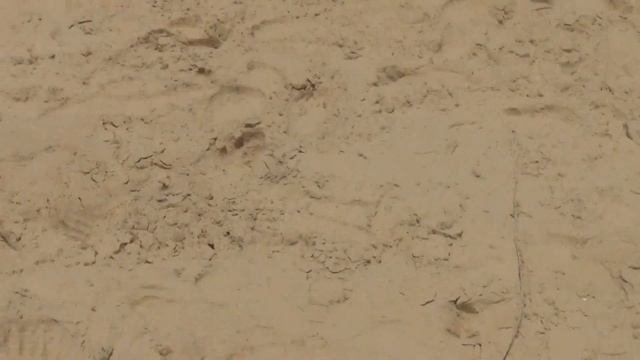 первый раз видим море на пхукете, тайланд