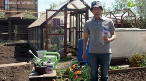 Лунный календарь огородника на июнь 2023. Благоприятные дни для огорода в июне