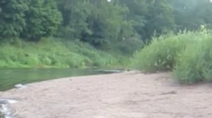 Глиссирование на Yamaha 2 cmhs