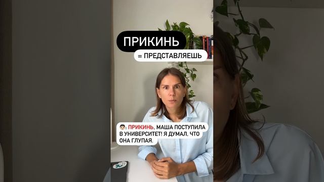 Что значит ПРИКИНЬ?