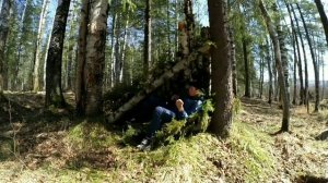 Как выжить в лесу , если заблудился