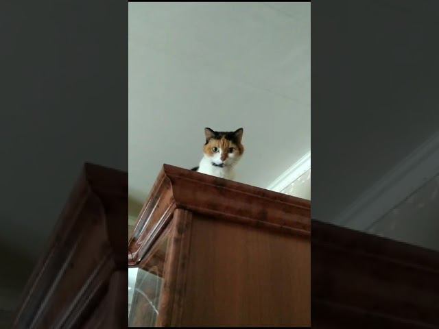 9 февраля 2024 г. смотреть онлайн