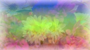 Футаж фон. Цветы.