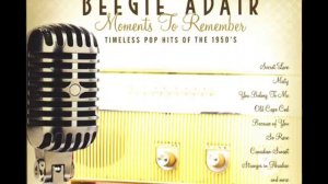 Jazz Piano / Beegie Adair - Misty ( Erroll Garner ) - Moments to Remember 04