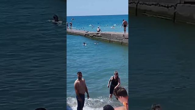 Архипо-Осиповка 1 августа 2024 года 🌤️ обстановка на центральном пляже 🏖️ Видео из группы в Телегр смотреть онлайн