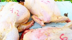 ЗАБОЙ ИНДЮШЕК в 3,5 месяца .