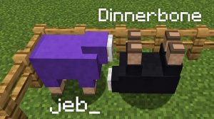 Майнкрафт, Dinnerbone + jeb_ =