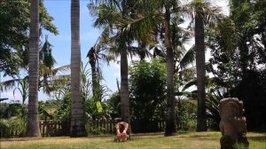 Ekilibre -  Zen Stretching "makko ho" - Etirements de Masunaga  à BALI 2015