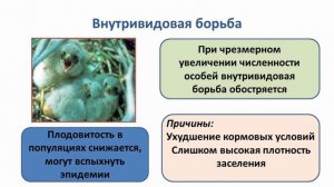 Биология. Борьба за существование.