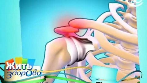 Говядина – полезное или вредное мясо?