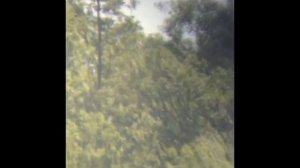 Dimostrazione Sibir Optics 20 - 50 x 50 WA ZOOM