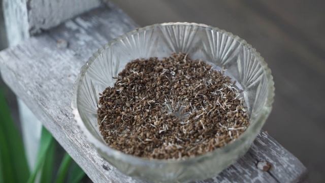 Прорастание семян моркови в носке ❦ Посадка Моркови ❦ 100% Урожай смотреть онлайн