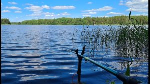 РЫБАЛКА НА ЗАБЕЛЬСКОМ ОЗЕРЕ