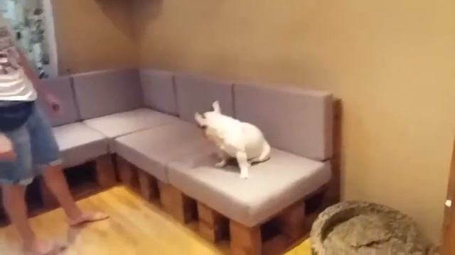 Диван из поддонов с мягкими подушками от мастерской KingPallet. Мебель из поддонов на заказ в Москв смотреть онлайн