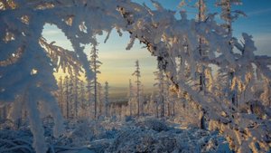 Юрий Алмазов - Воркутинский Снег