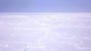 Охотское море. Март 2019 года.