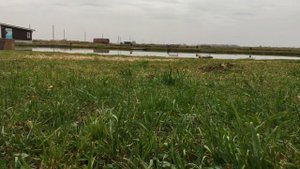 Частный пруд, платная рыбалка, местным жителям вход запрещён!