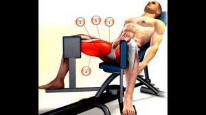 ЛК МЫШЦА У МУЖЧИН