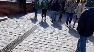 Прогулка по Люблину. Короткие путешествия по Польше.