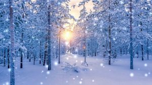 Футаж Зимний пейзаж 2
