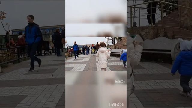 Парк львов Тайган❤. 50%скидка осенью! Было супер. смотреть онлайн