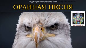 ОРЛИНАЯ ПЕСНЯ. Медитация на обретение себя под завораживающую перуанскую флейту