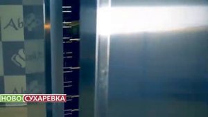 Аппараты шоковой заморозки Abat замораживание ягод и фруктов