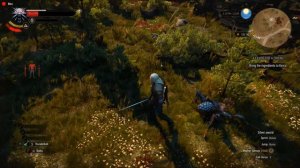 Witcher 3 Wild Hunt Velen: Killing Endrega Worker and Warrior for Treasure.