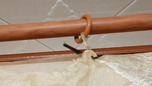 К нам в окно залетела летучая мышь #летучаямышь #животные смотреть онлайн