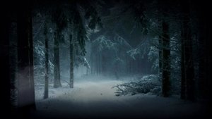 Звуки природы. Звук снега. Расслабляющие звуки природы. Сильный ветер и снег.