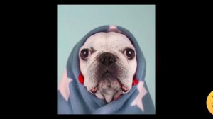 Сочный рингтон на звонок 🤤🤤🤤"СиГмА"!!!