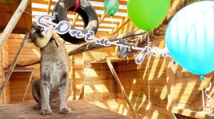 ПУМЫЧ ПРАЗДНУЕТ СВОЙ ЮБИЛЕЙ