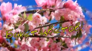 гр.Лукьяновка  Вячеслав Кукоба - Букет цветов!