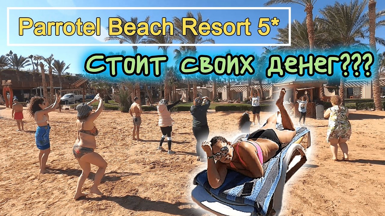 Parrotel Beach Resort 5* Дёшево, весело, сердито!!! найди Клад 50$