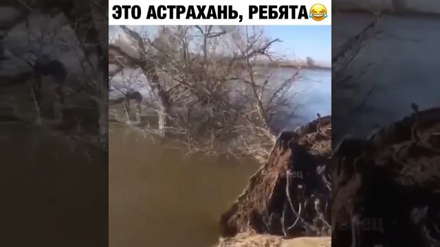 Это Астрахань, ребята 😂