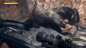 theHunter Call of the Wild™ - Охота на лося с арбалетом