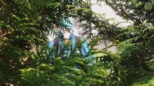 ПАНОРАМА ПАРК ТОЛЬЯТТИ ДЕЗИНСЕКЦИЯ.mp4