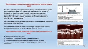#УЗДГ-Актуальные вопросы практической допплерографии Елизарова Р.А.