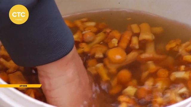 Сколько людей отравились грибами смотреть онлайн