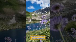 Тамбиев Къасбот «Кетген сюймеклик»