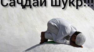 Намози саҷдаи шукрона