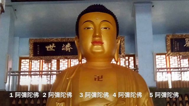 （250）阿彌陀佛 19 F大調 смотреть онлайн