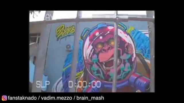 О чем говорят граффити OBEY и Лампас Покрас. Первая высотка RASKO. Хроника стен 2019