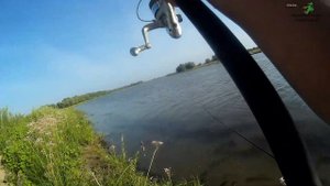 Ловля карася р. Ашулук 2020г