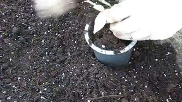 Хелен Трехречный смотреть онлайн